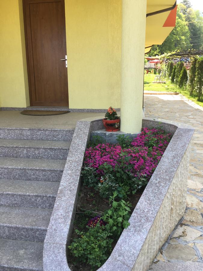 Kot Garden Guest House Sapareva Banya Eksteriør billede